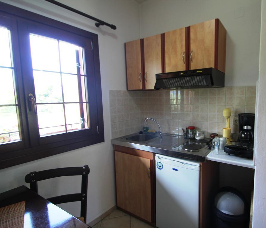 Artemis Apartments Konitsa Room photo