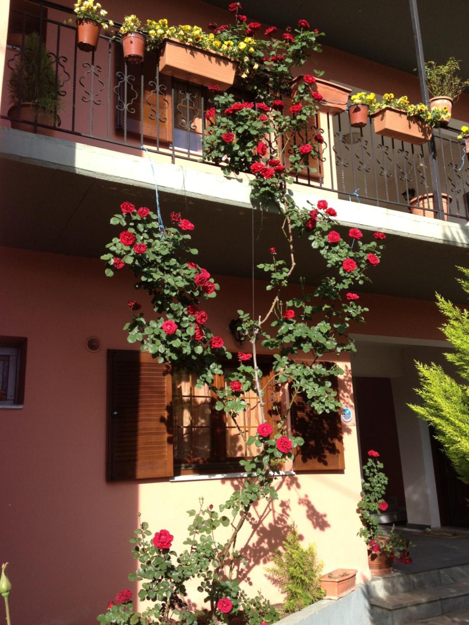 Artemis Apartments Konitsa Exterior photo