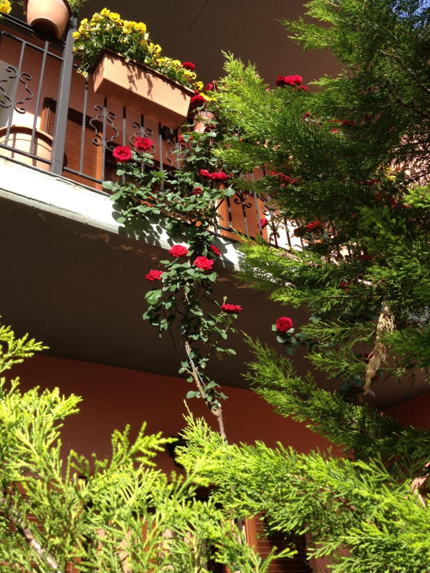 Artemis Apartments Konitsa Exterior photo