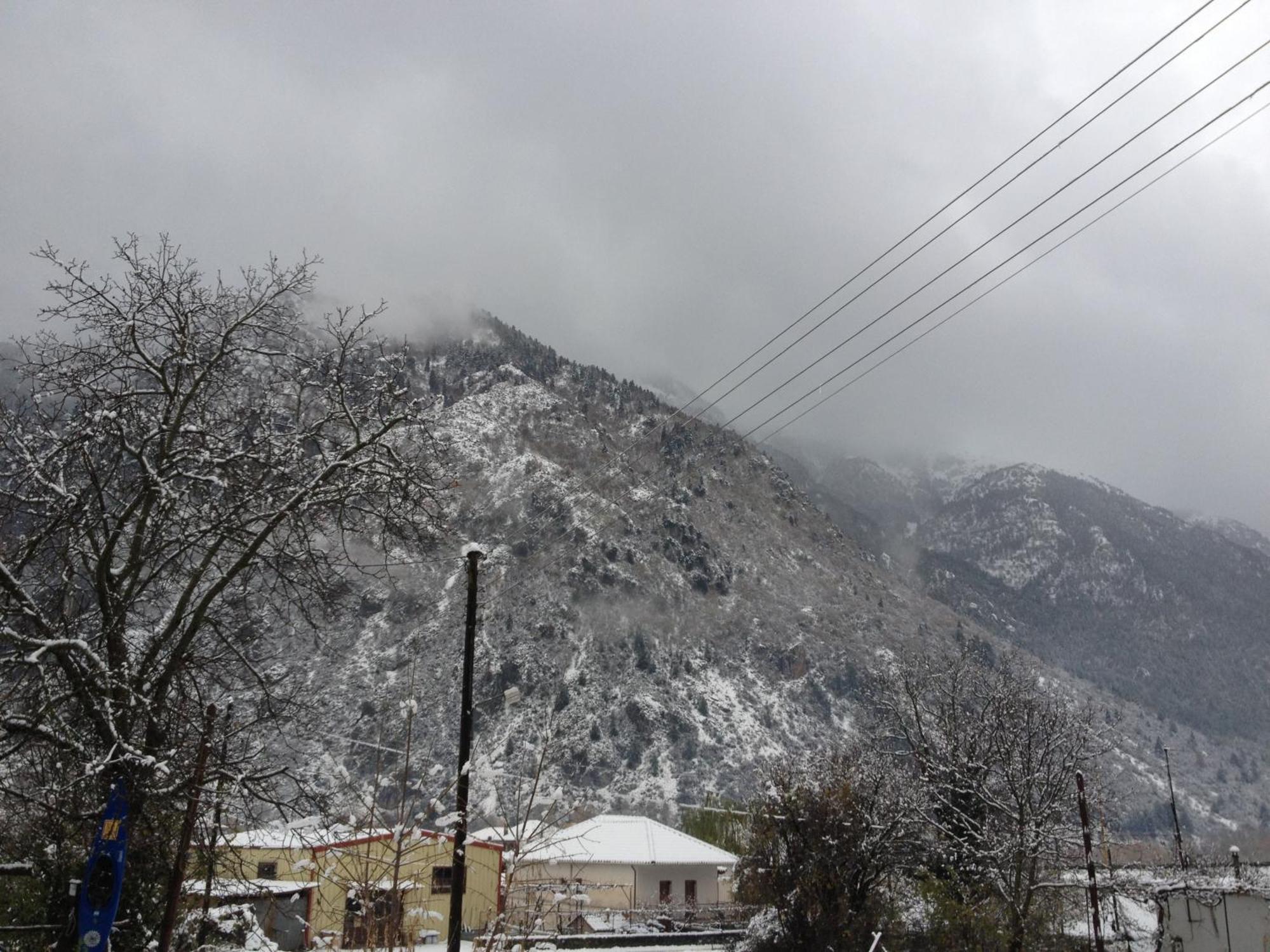 Artemis Apartments Konitsa Exterior photo