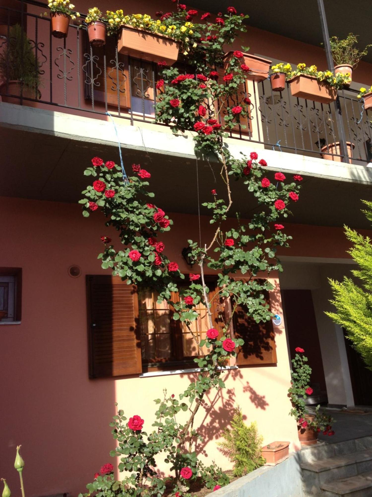 Artemis Apartments Konitsa Exterior photo